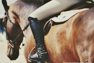 Horse Riding Experience