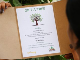Gift A Tree Best Birthday Gifts Online In India Gift A Tree Best Birthday Gifts