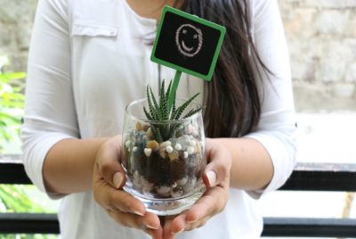Terrariums