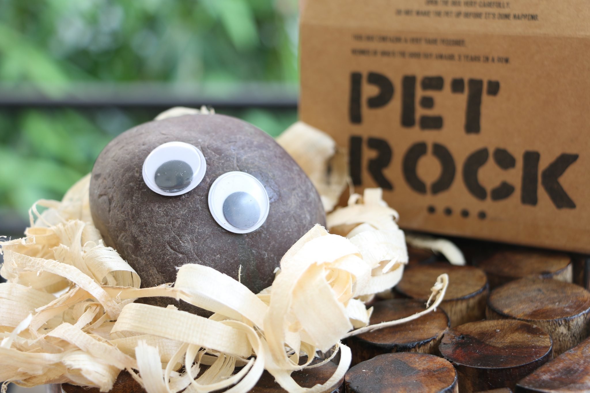 Pet Rock Box Template