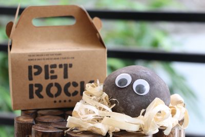 Pet Rock