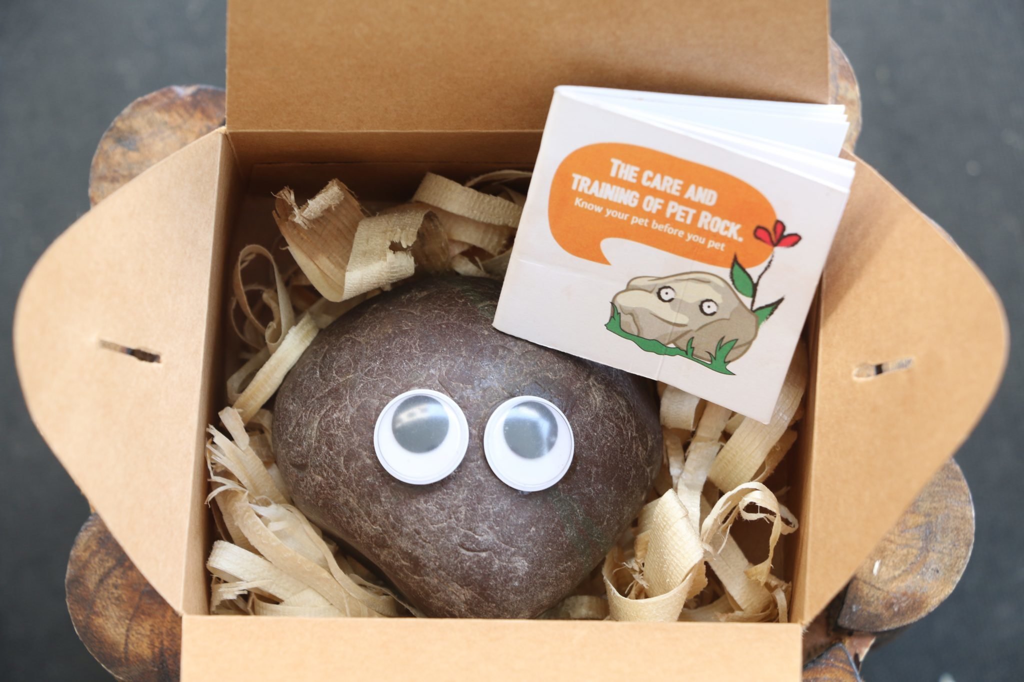 Pet Rock Best Just like that Gifts Online in India
