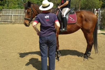 Horse Riding in Gurgaon
