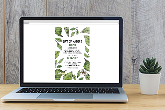 Plant a Tree  Best Birthday Gifts Online in India